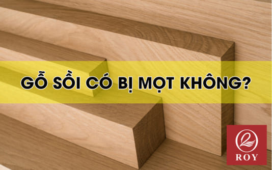 Gỗ sồi có bị mối mọt không?