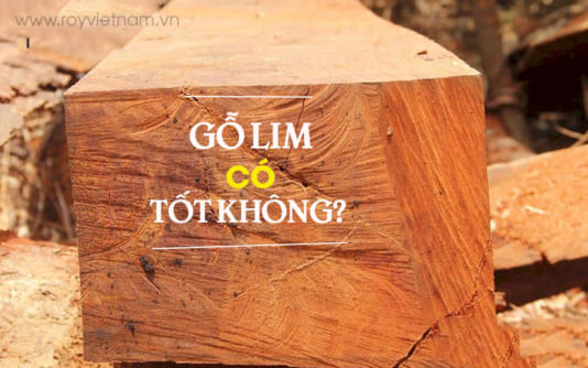 Gỗ lim có tốt không? Các loại gỗ lim phổ biến tại Việt Nam?