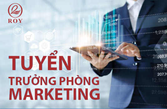 Trưởng Phòng Marketing – Roy Việt Nam